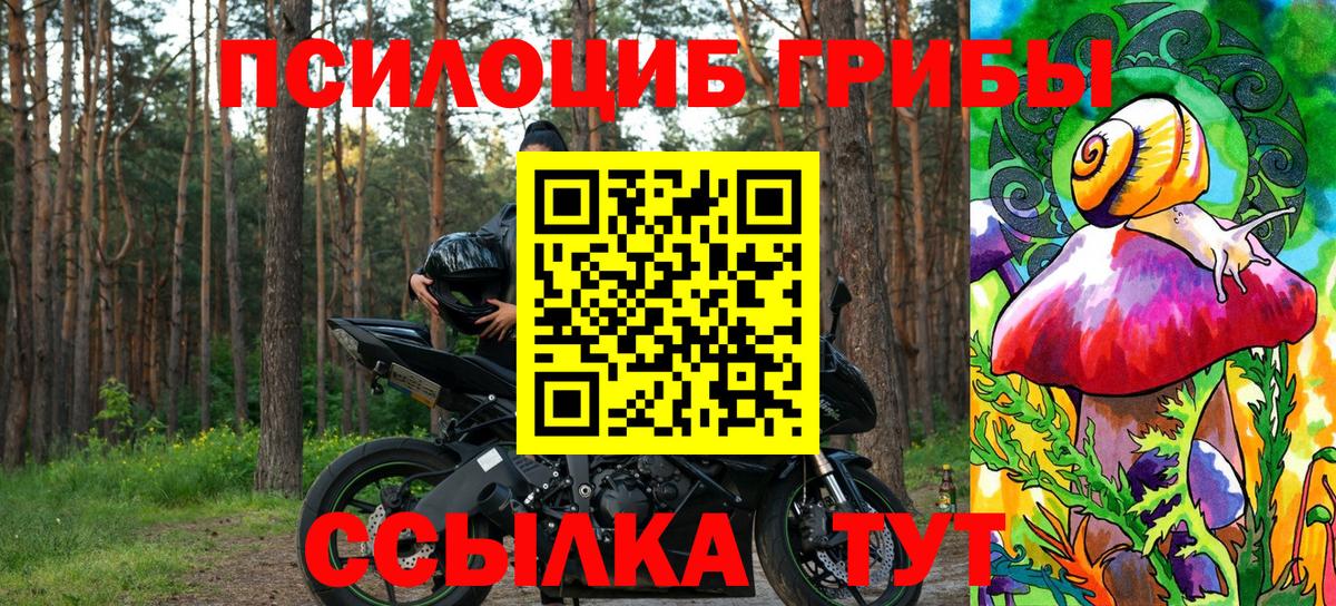 Галлюциногенные грибы прущие грибы Туапсе